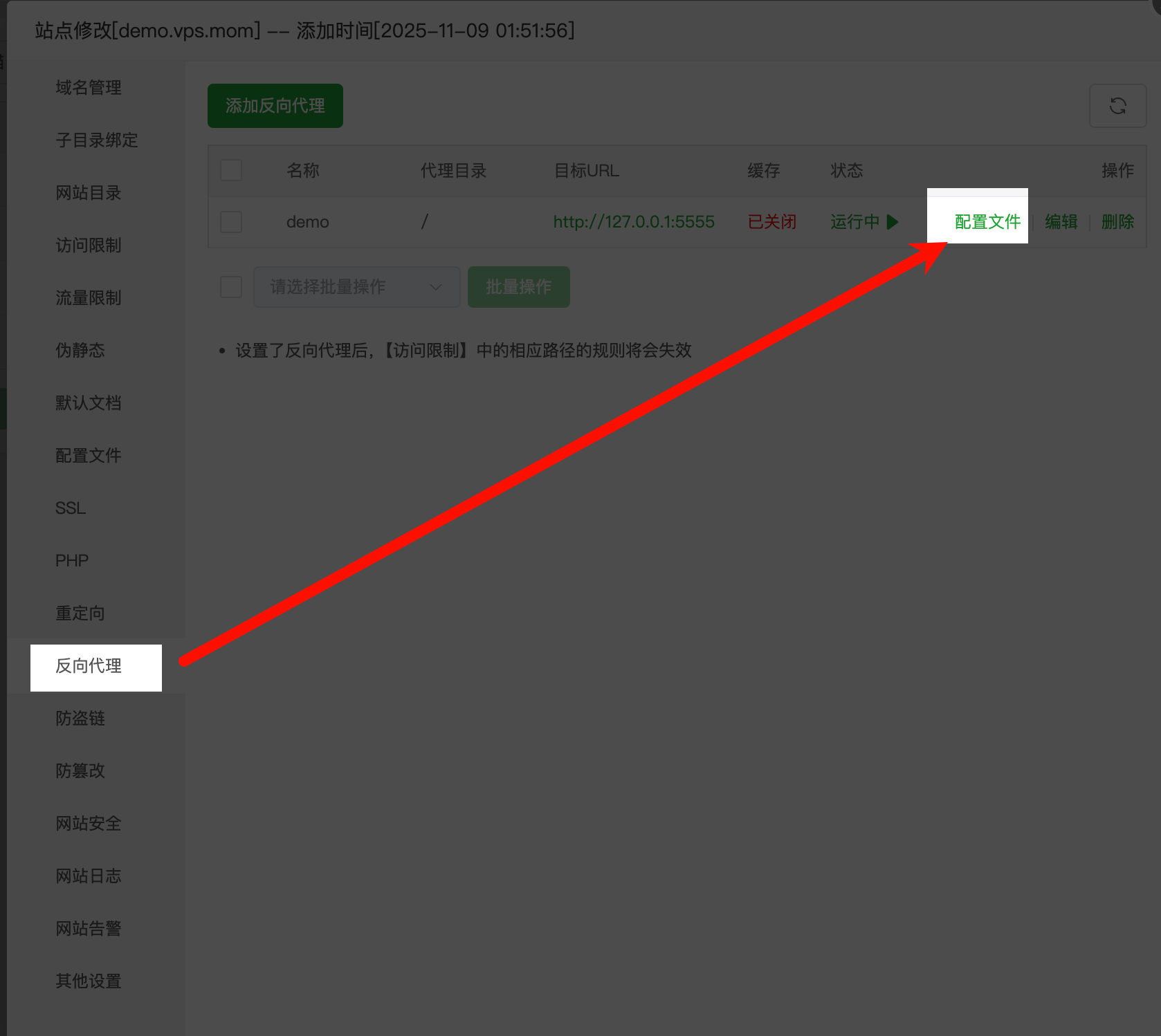 宝塔反向代理入口（点击配置文件）